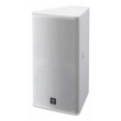 Enceinte 15" + 1,7" 2 voies 90° x 50° 700W PGM Blanc