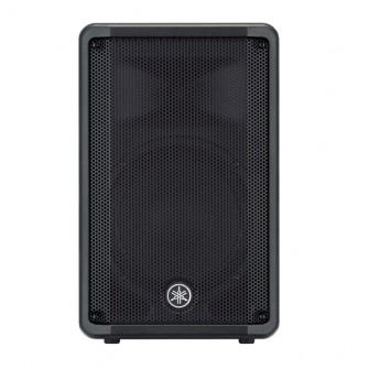 Enceinte de diffusion passive 10" 350W