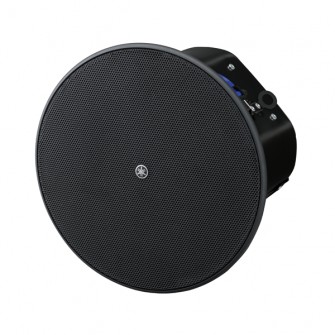 Enceinte plafond driver 4