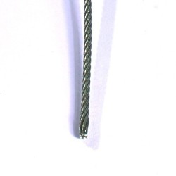 LEV.CA2