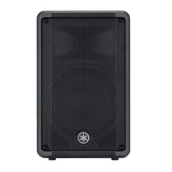 Enceinte de diffusion passive 10