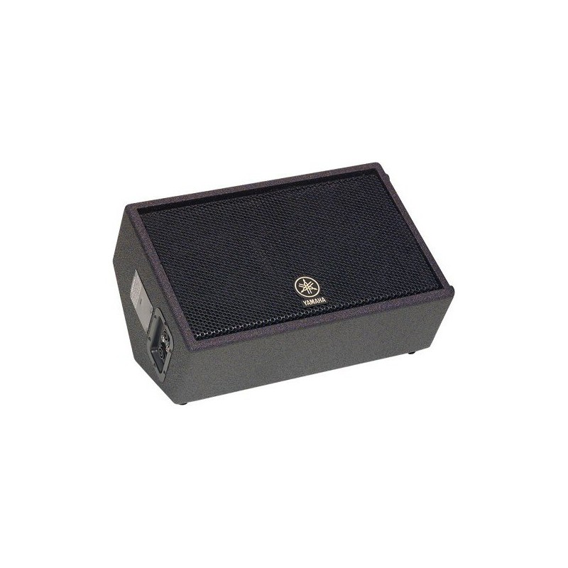 Retour 150W PGM/8 ohm 2 voies (10" + tweeter 1")