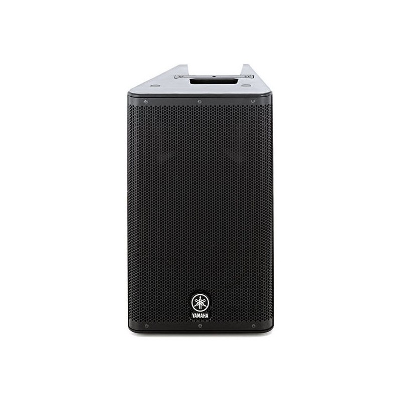 Ampli 2 voies 1*10, ampli class D 1100W-FIR-DSP