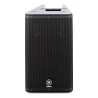 Ampli 2 voies 1*10, ampli class D 1100W-FIR-DSP