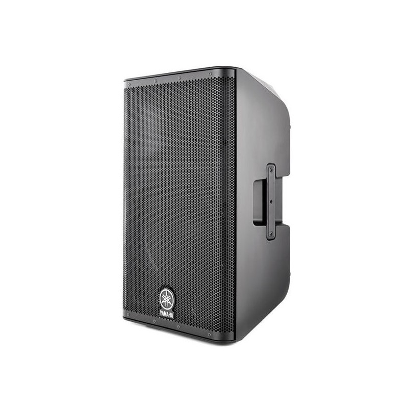 Ampli 2 voies 1*12, ampli class D 1100W - FIR - DSP