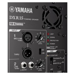 Ampli 2 voies 1*15, ampli class D 1100W - FIR - DSP