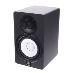 Enceinte de studio 2 voies bass reflex bi amplifiée avec boomer 5