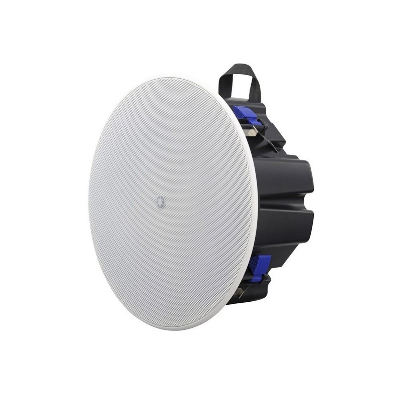 Enceinte plafond driver 4" - disponible en NOIR et BLANC(la paire)