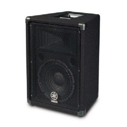 250W PGM / 8 ohm / 2 voies (10" + pavillon 1") jacks 6.35mm x 2