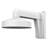 Dome indoor/outdoor wall mount