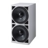 Enceinte de Graves - Double boomer 38cm - 1400W