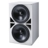 Enceinte de Graves - Double boomer 46cm - 1400W