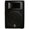 Enceinte 2 voies - Boomer 38cm - Tweeter à compression