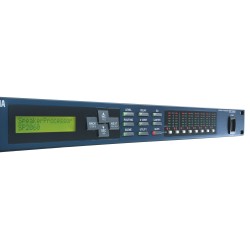 Processeur de filtrage 2E/6S analogiques