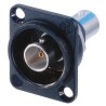 ISOLATED BLACK BNC / BNC SERIAL D