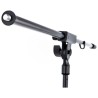 STD MIC BOOM