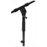 MIC STAND + TELESCOPIC POLE