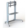 MOBILE CART FOR INTERACTIVE MODELS