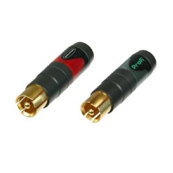 NEU.NF2CB2