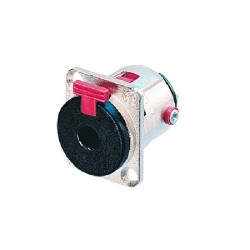 NEU.NJ3FP6C